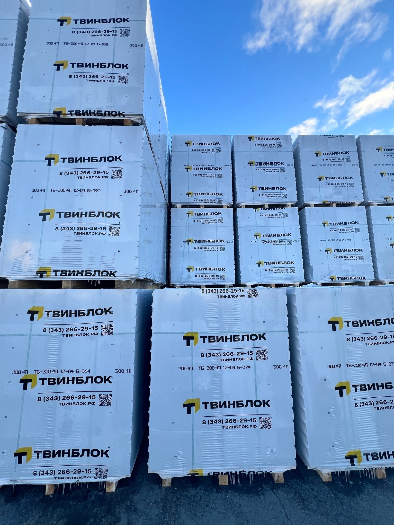 Газобетон ТВИНБЛОК D300 В2.0 625х300х250